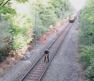 zr366.gif