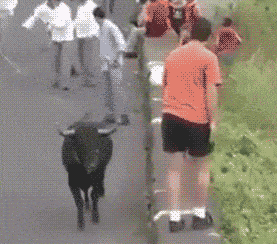 zr359.gif