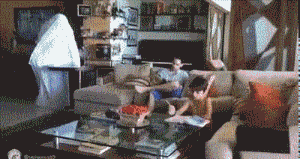 zr321.gif