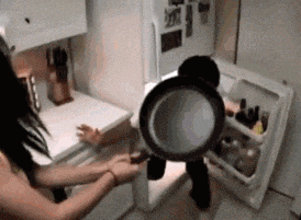 zr314.gif