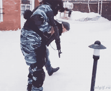 zr312.gif
