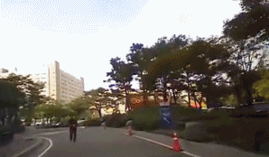 zr289.gif