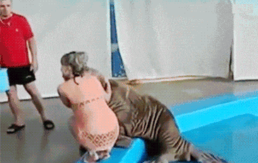 1673194593195256.gif zr170.gif