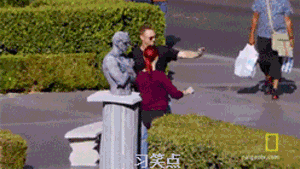 zr161.gif