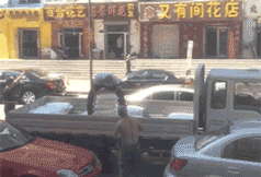 zr59.gif