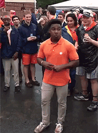 zr30.gif