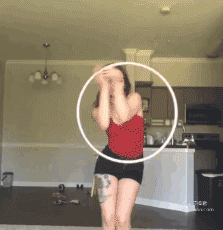 zr28.gif