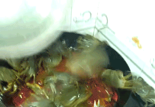201609042032429529.gif