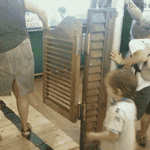 201605071333043423.gif