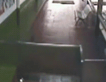 201402051147590005.gif