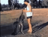 201404181149030388.gif