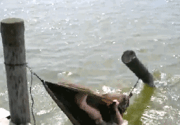 201402051157091487.gif