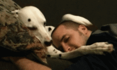 201401121016437528.gif