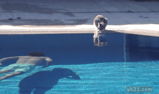 201311282006366186.gif