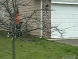 201304301256002780.gif
