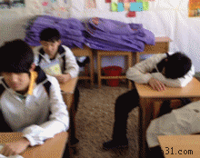 201304160038202026.gif