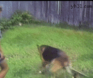 201301141502132577 (1).gif